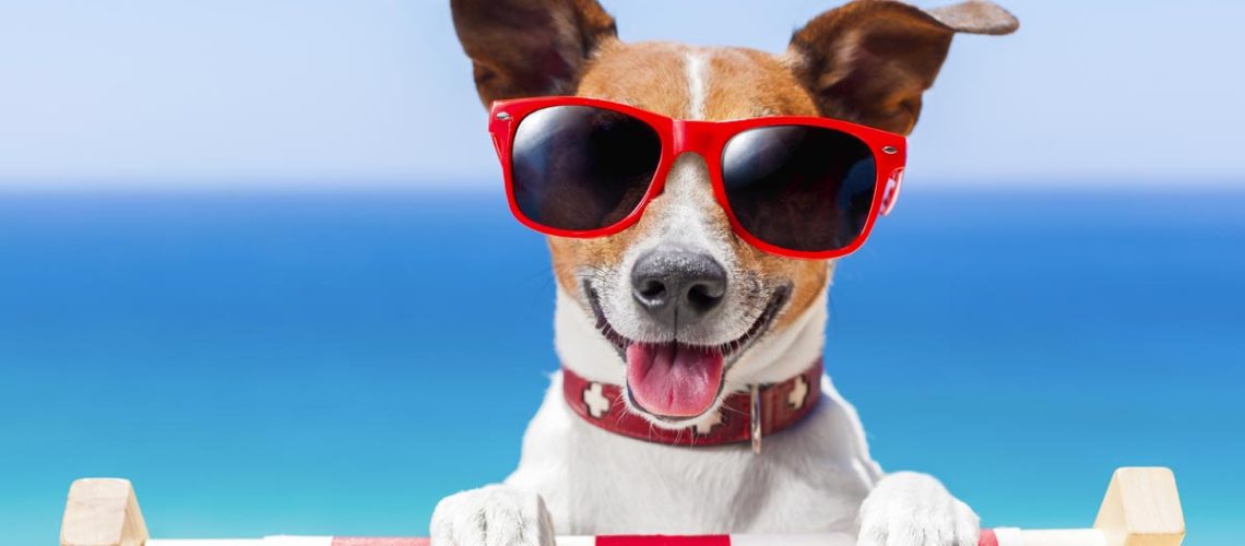 summer-tips